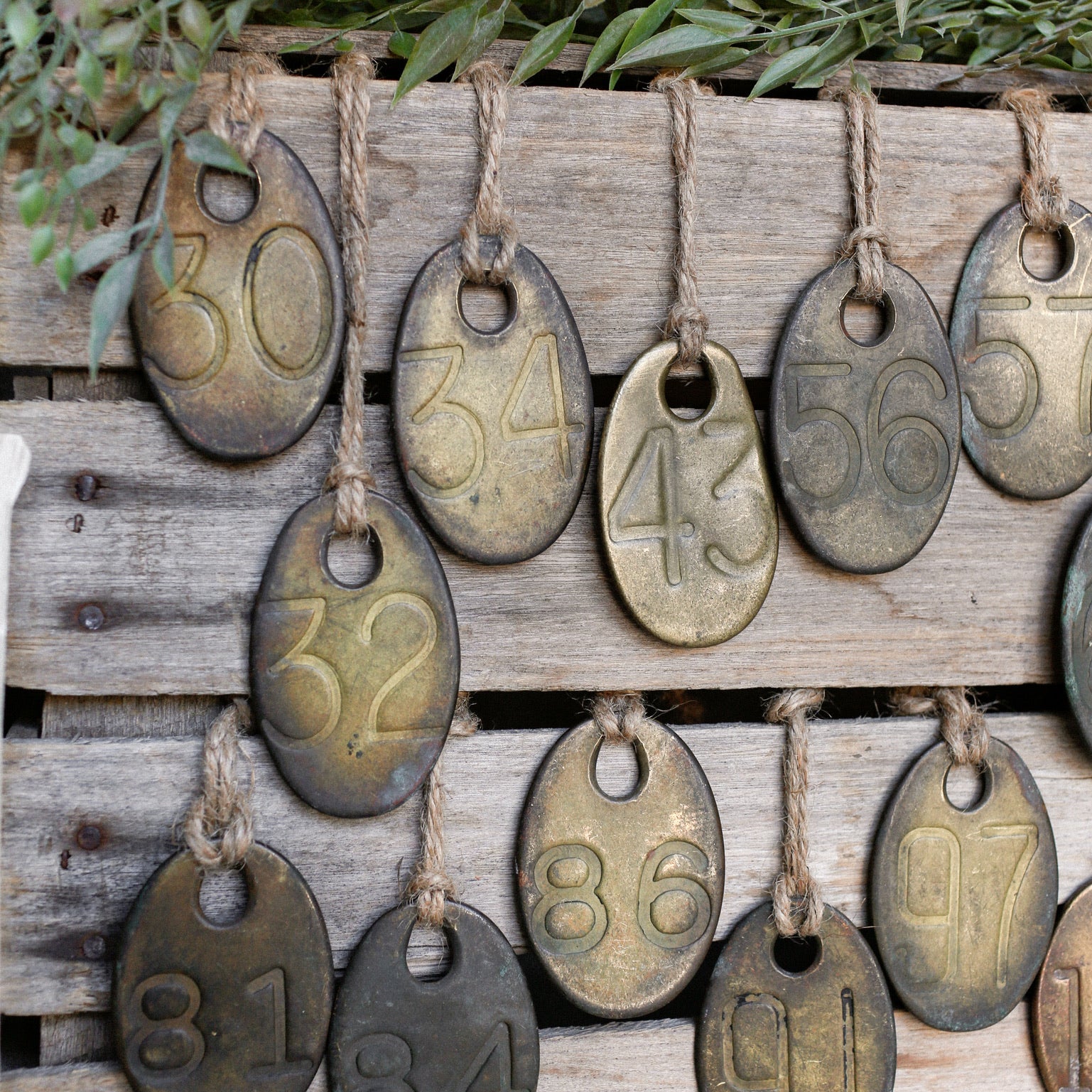Decorative Objects