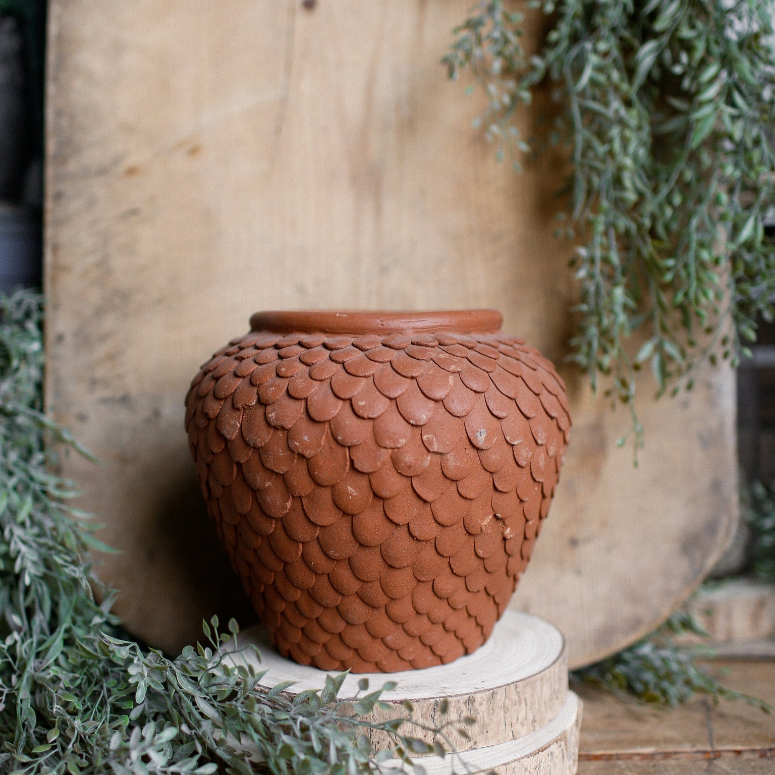 Pots & Planters