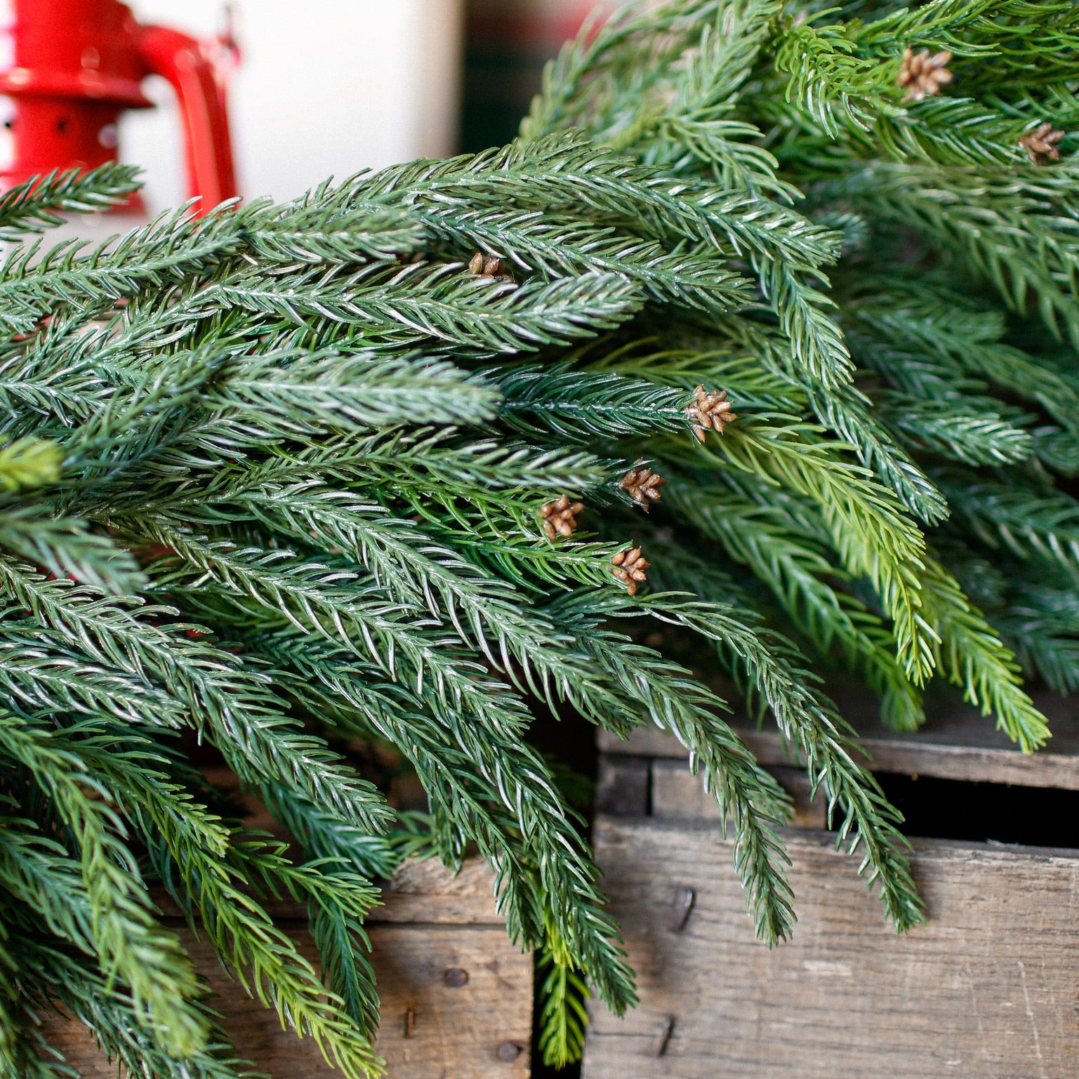 Holiday Garland + Greenery