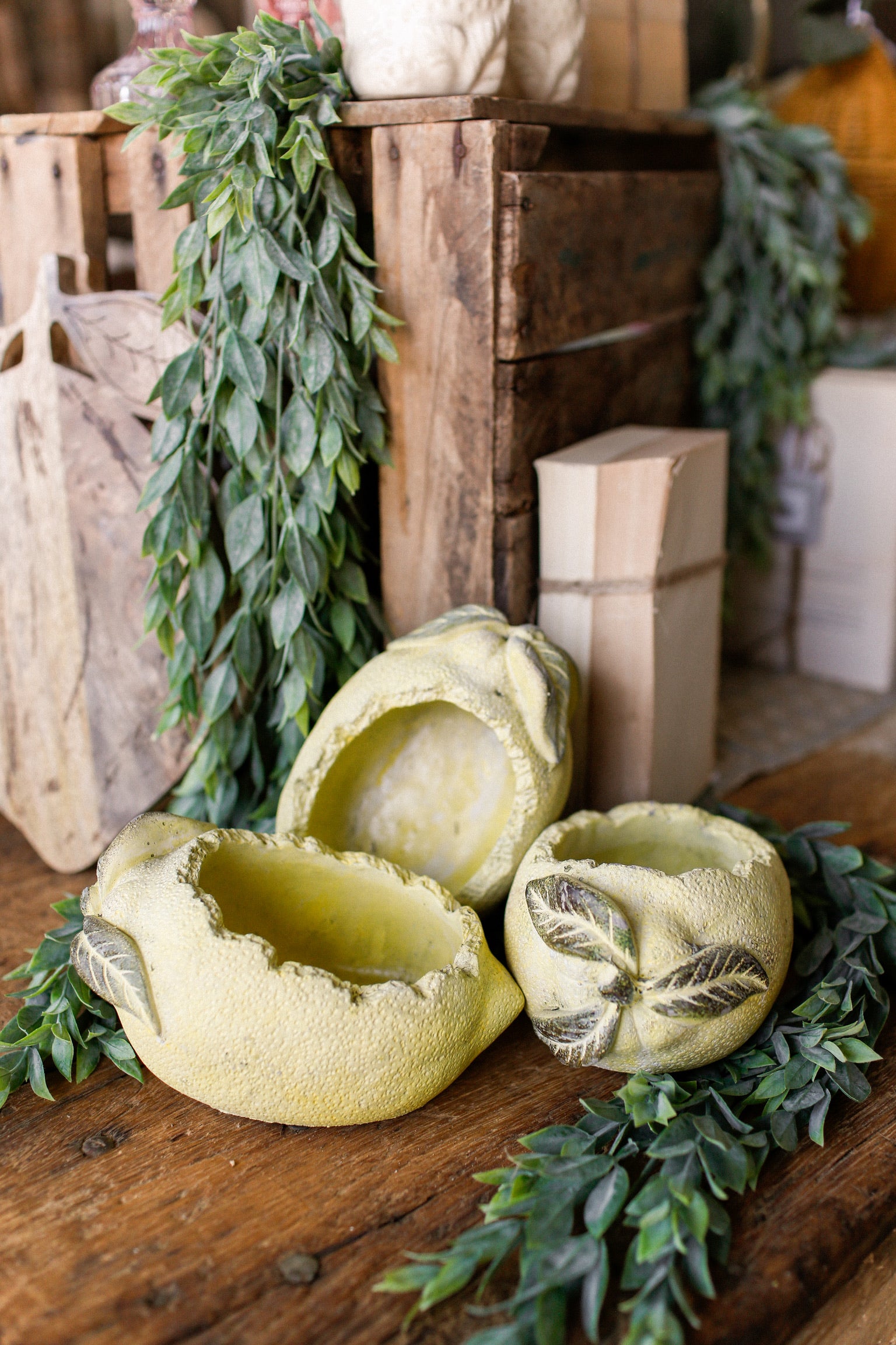 Lemon Concrete Planter