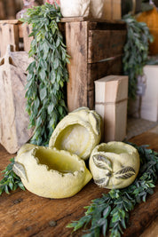 Lemon Concrete Planter