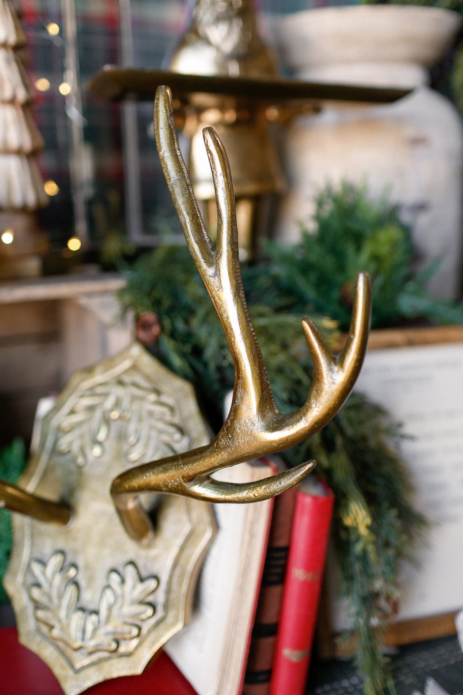 Oakdale Antler Mount (L)