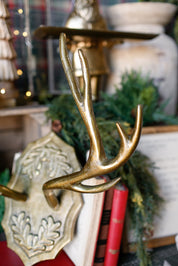 Oakdale Antler Mount (L)