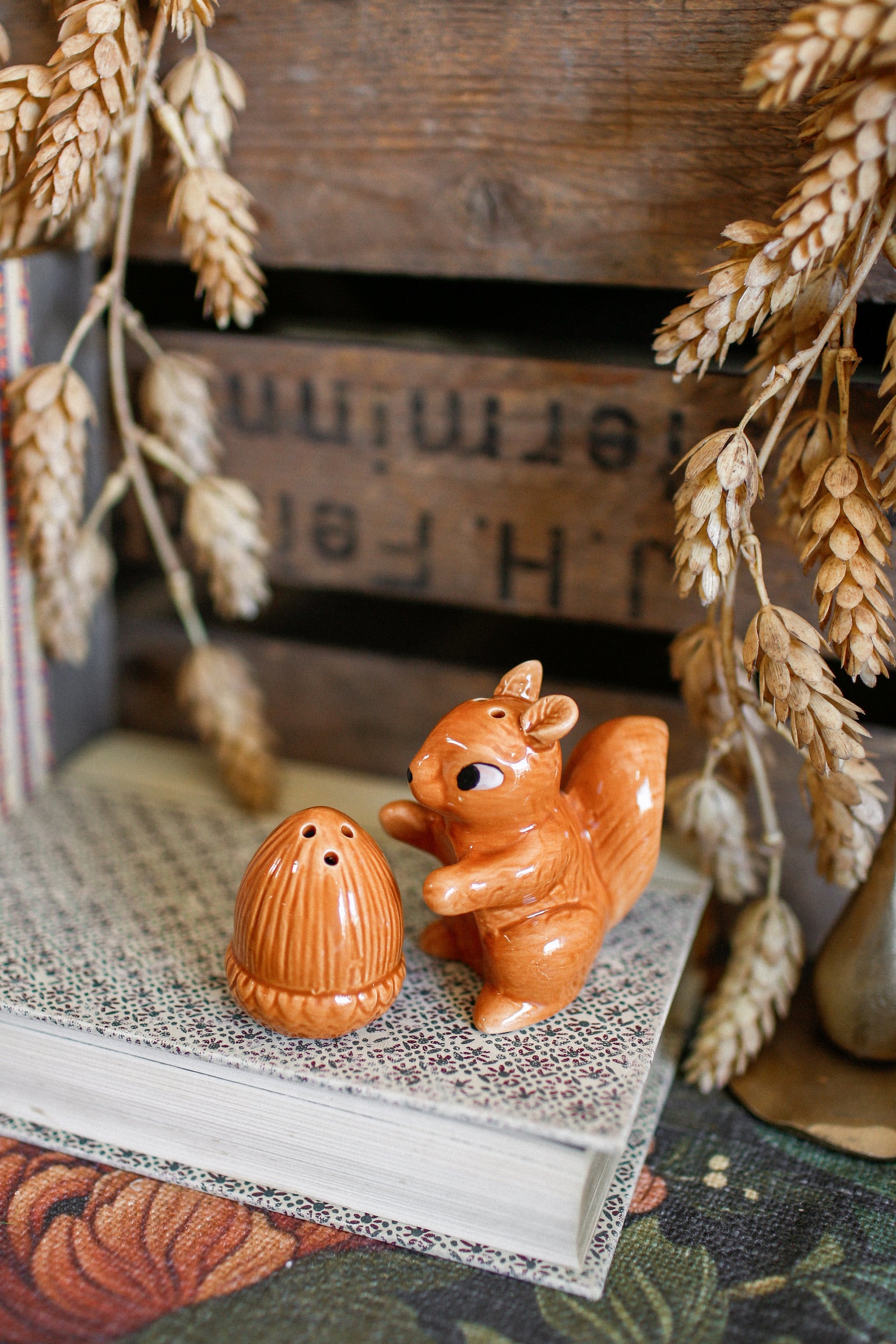 Squirrel And Acorn S&P Shakers