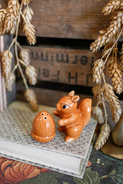 Squirrel And Acorn S&P Shakers