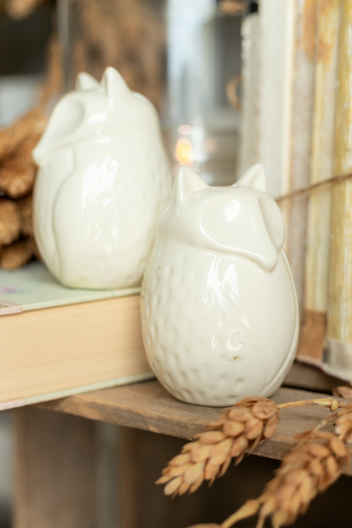 Vintage Fox Salt and Pepper Shakers The Little Burlap Barn®