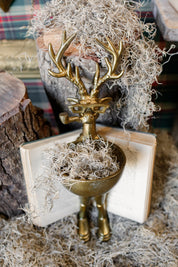 Brass Standing Deer