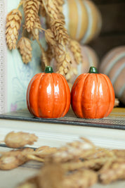 Pumpkin S+P Shakers The Little Burlap Barn®