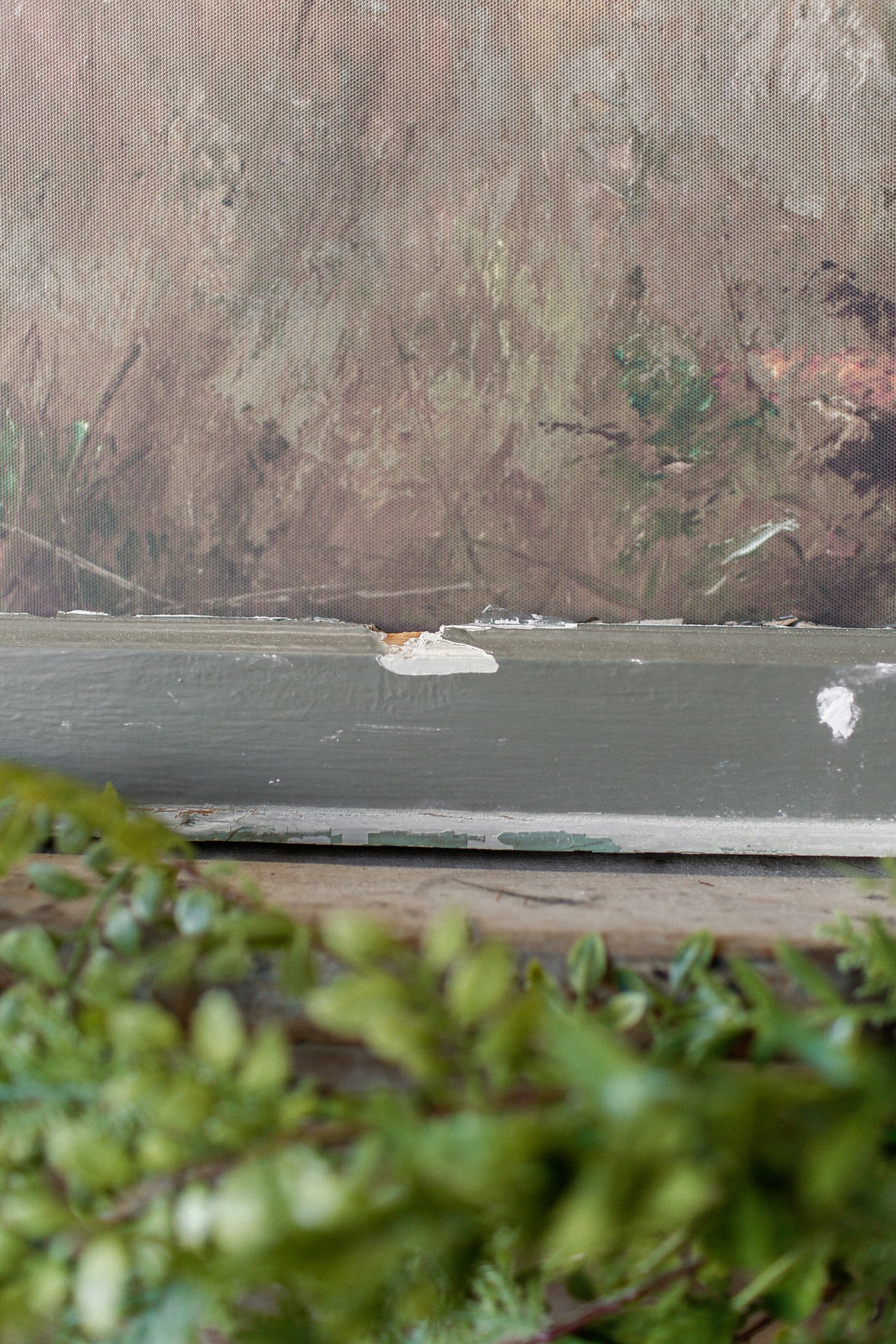 Salvaged window frame featuring two dogs in a peaceful field with muted earthy tones