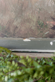 Salvaged window frame featuring two dogs in a peaceful field with muted earthy tones