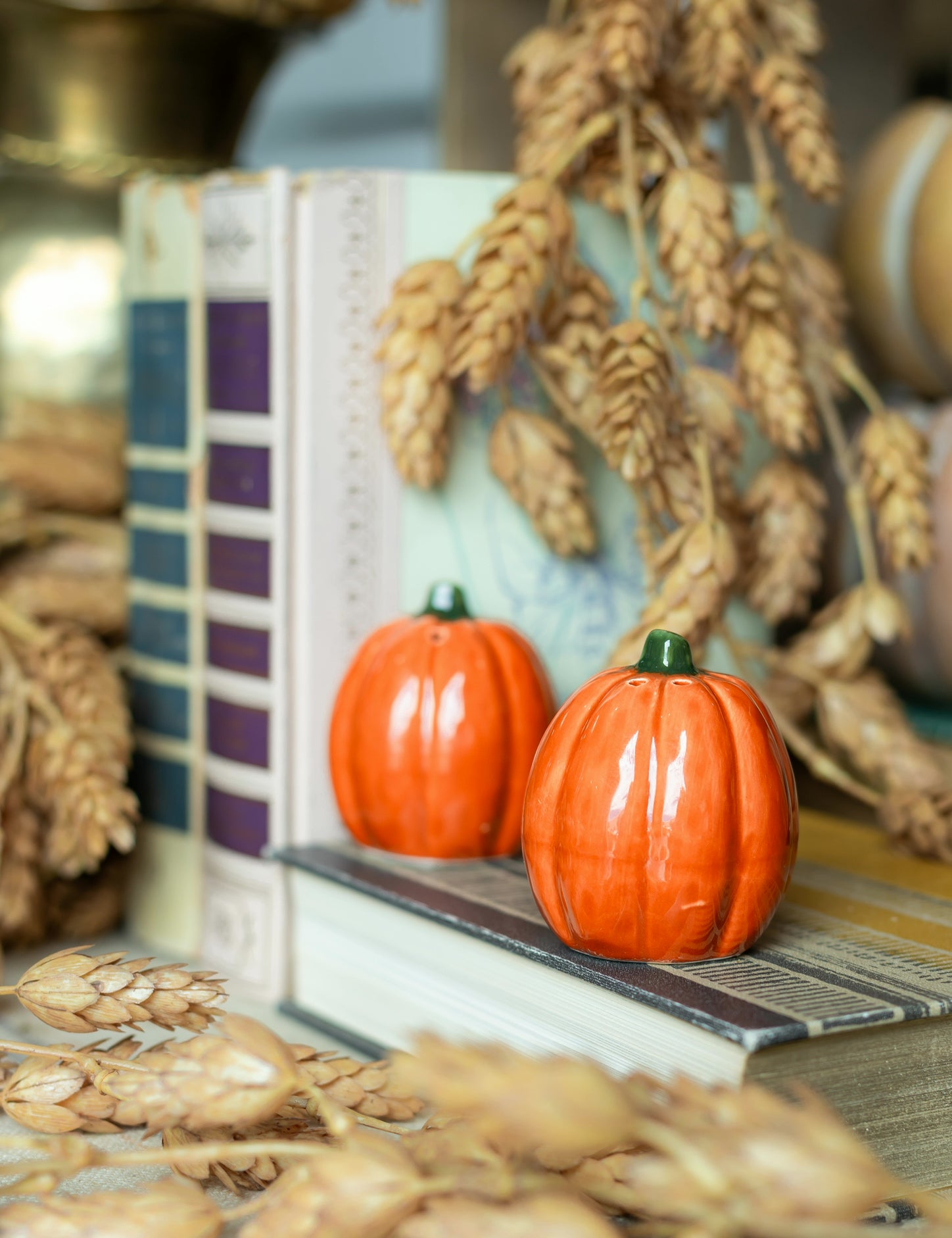 Pumpkin S+P Shakers The Little Burlap Barn®