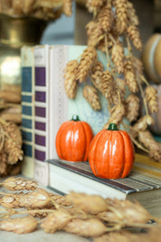 Pumpkin S+P Shakers The Little Burlap Barn®
