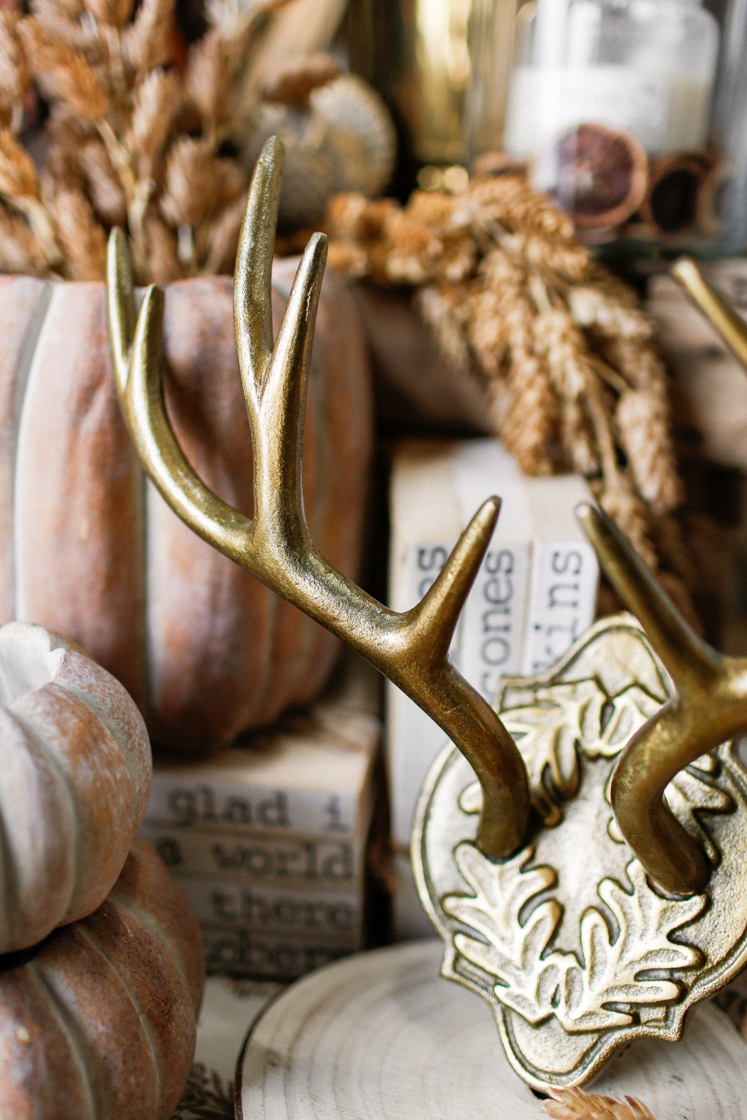 Oakdale Antler Mount (S)