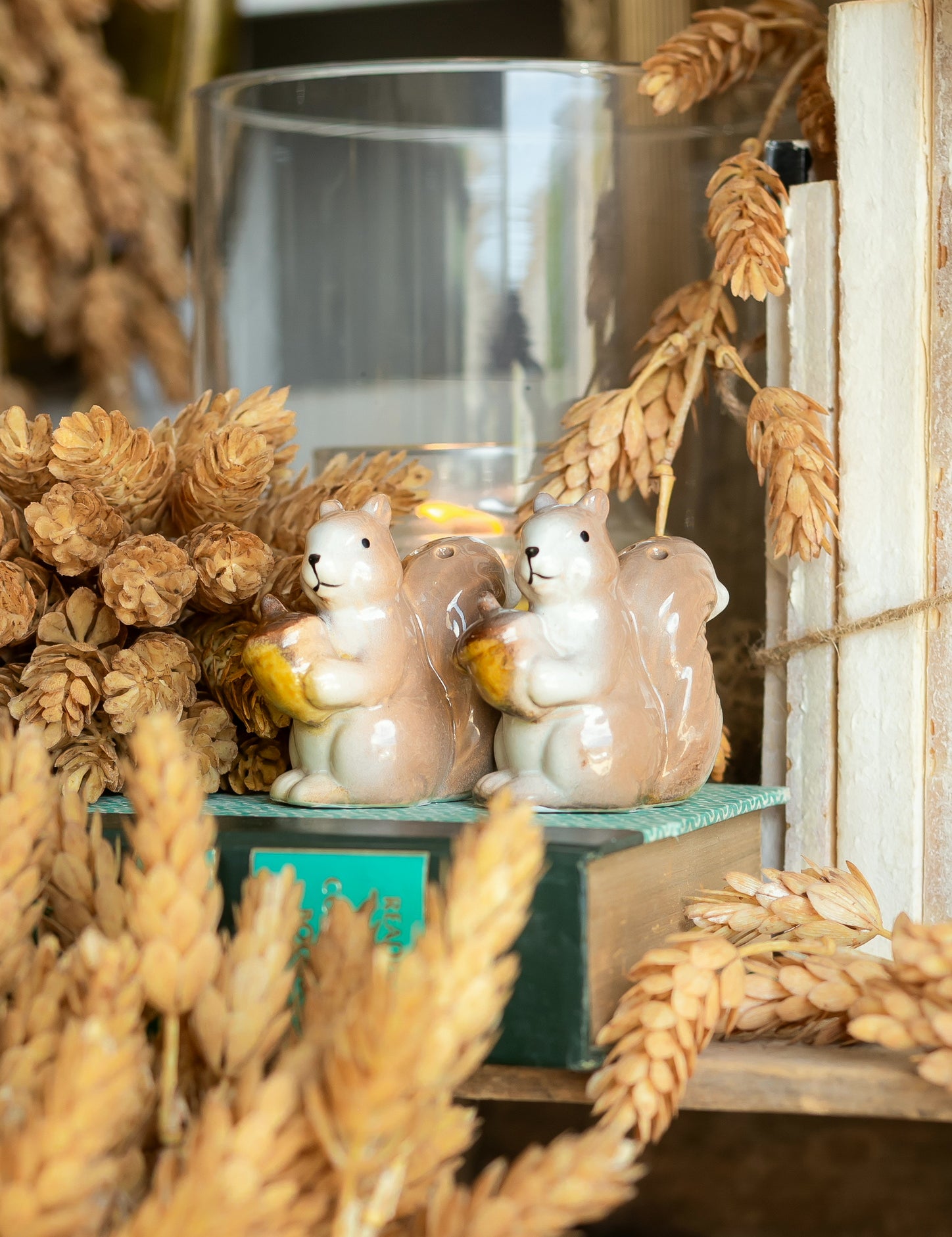 Vintage Squirrel Salt and Pepper Shakers The Little Burlap Barn®