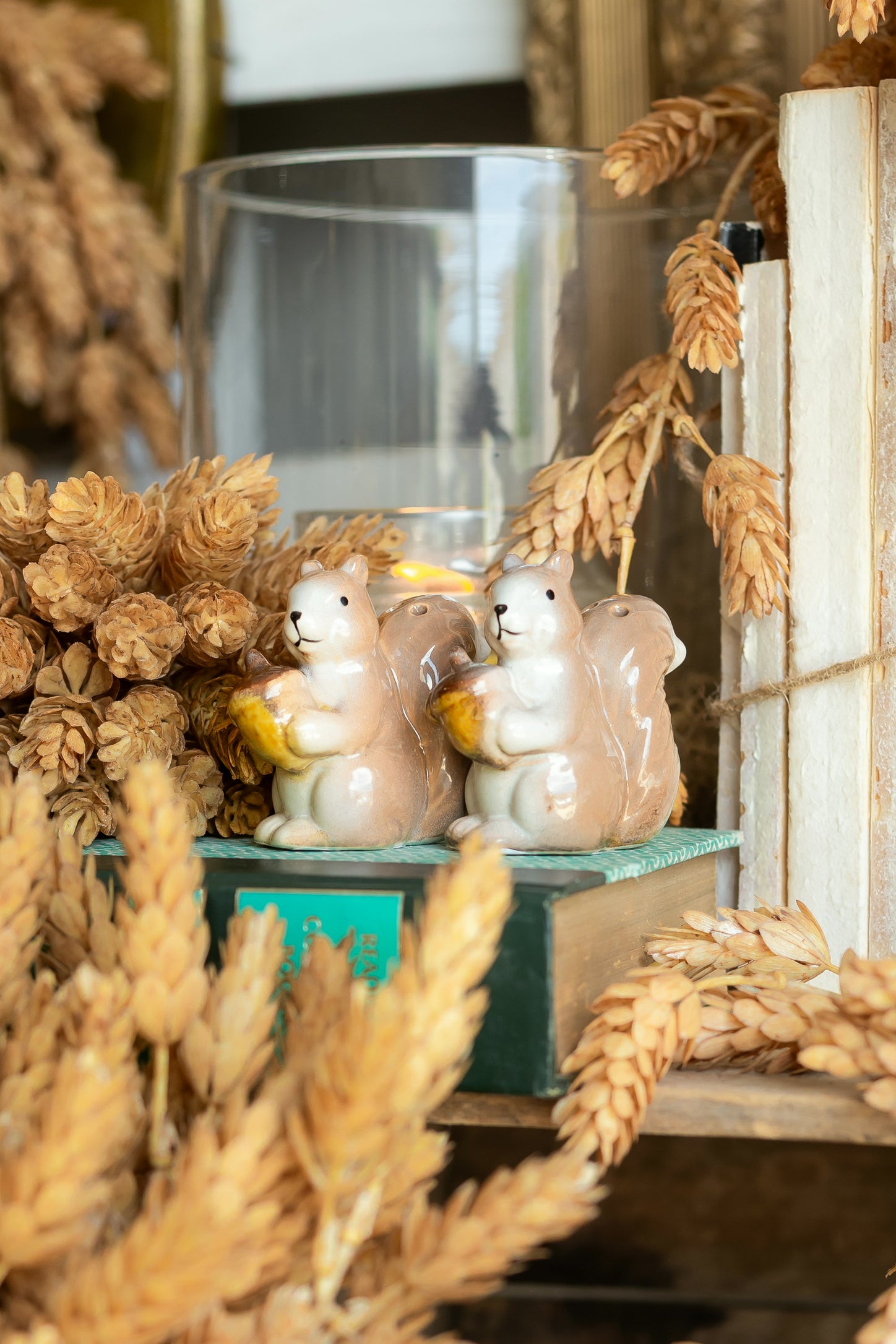 Vintage Squirrel Salt and Pepper Shakers The Little Burlap Barn®