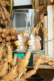 Vintage Squirrel Salt and Pepper Shakers The Little Burlap Barn®