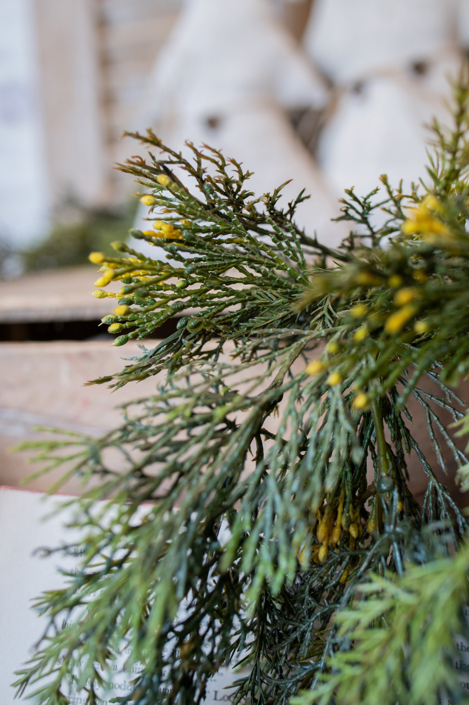 Mixed Cedar Hanging Stem