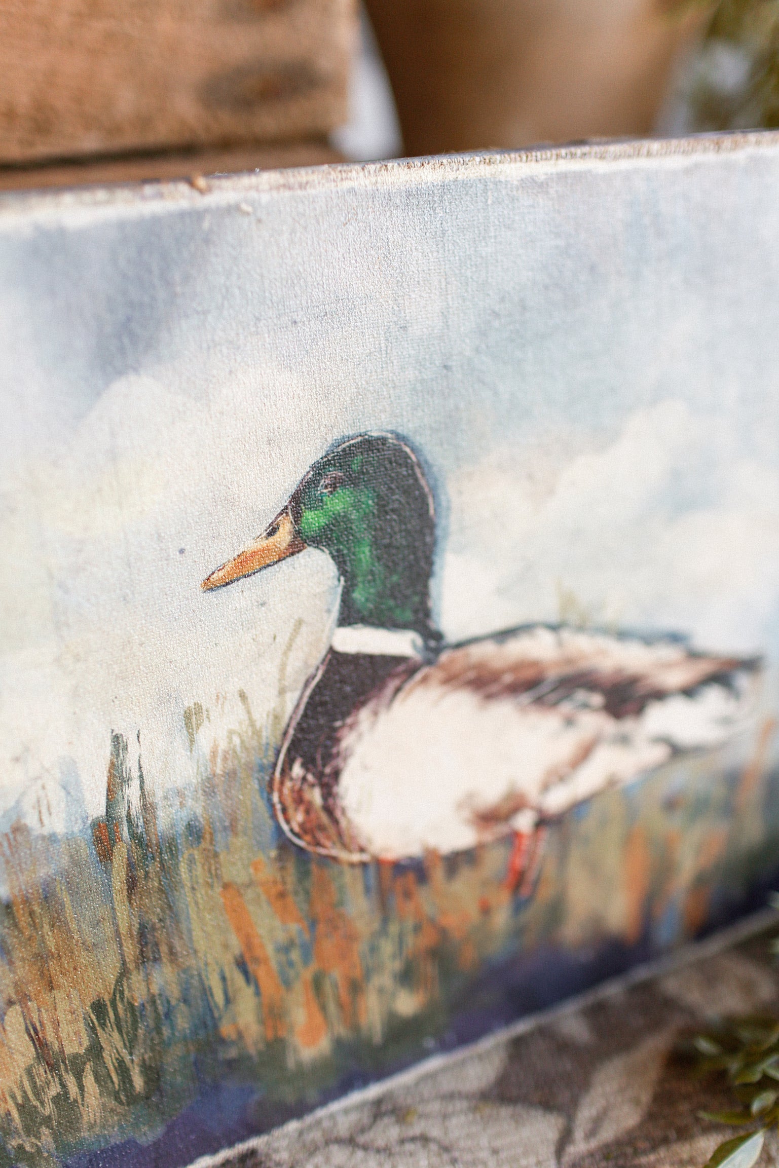 Duck Canvas Print The Little Burlap Barn®