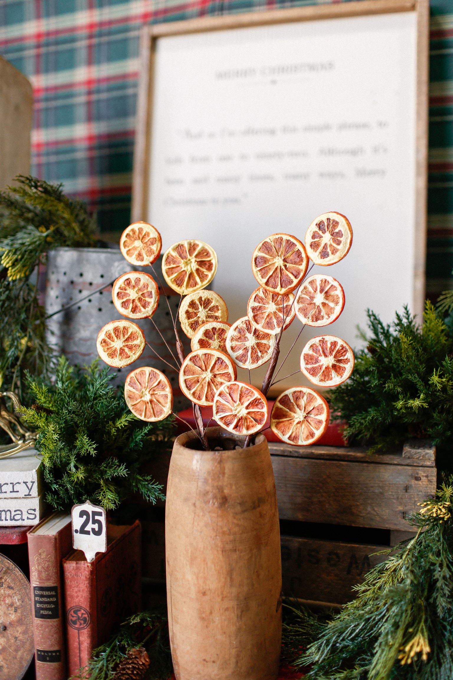 Dried Orange Slice Branch