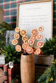 Dried Orange Slice Branch