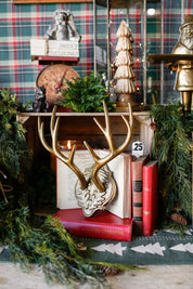 Oakdale Antler Mount (S)