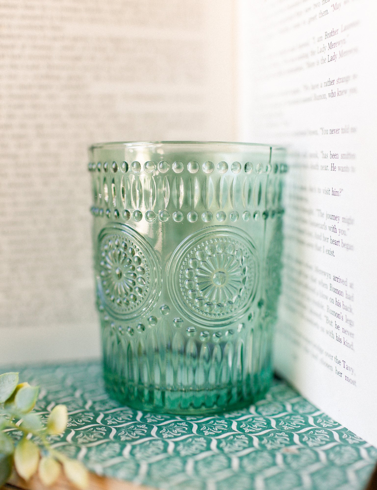 Embossed Drinking Glasses The Little Burlap Barn®