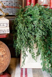 Forest Falls Hanging Stem