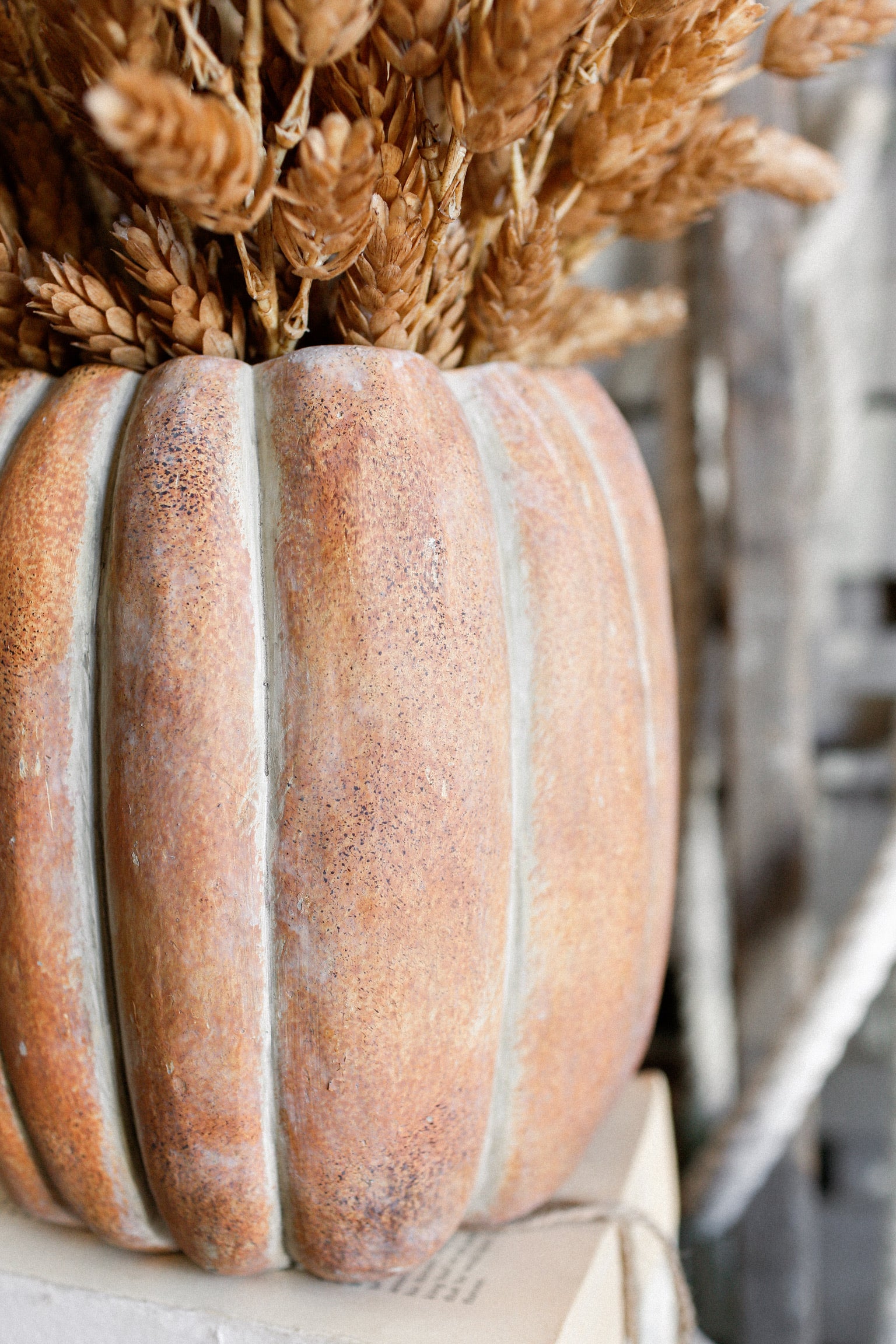 Cinderella Pumpkin Pot
