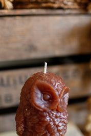 Owl Candle