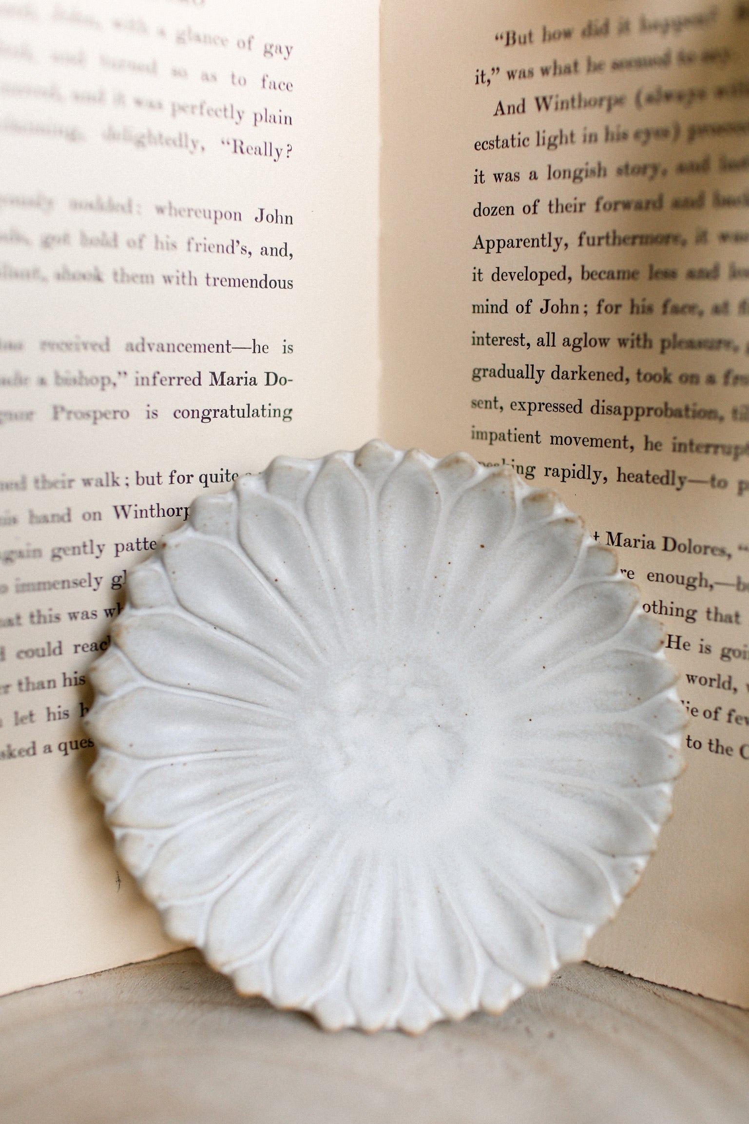 Stoneware Flora & Fauna Dish