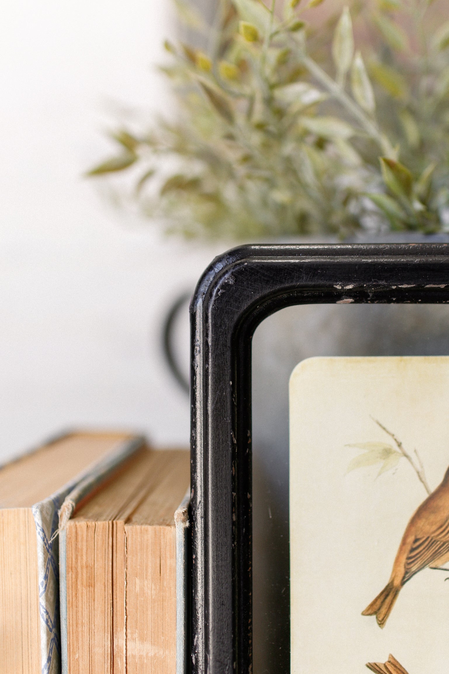 Bird Framed Picture The Little Burlap Barn®