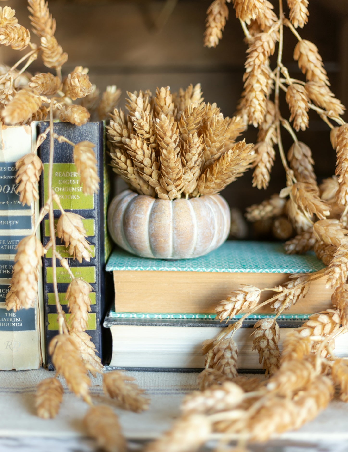 Cinderella Pumpkin Pot The Little Burlap Barn