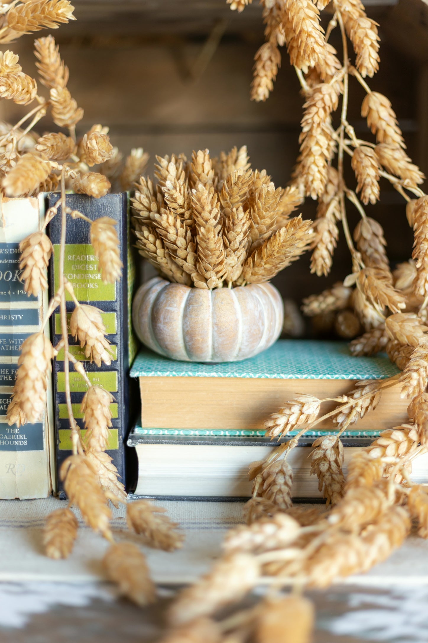 Cinderella Pumpkin Pot The Little Burlap Barn