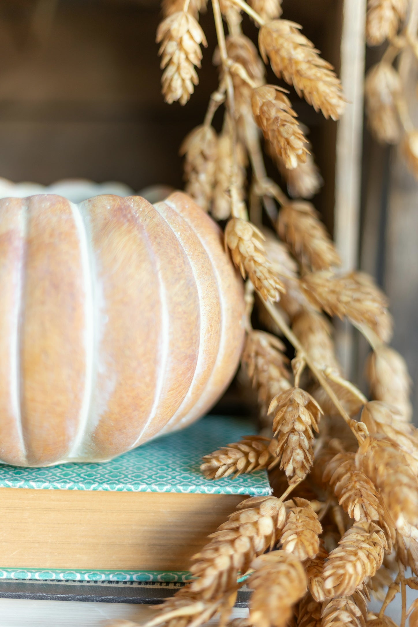 Cinderella Pumpkin Pot The Little Burlap Barn