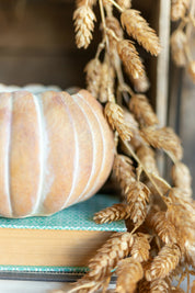 Cinderella Pumpkin Pot The Little Burlap Barn