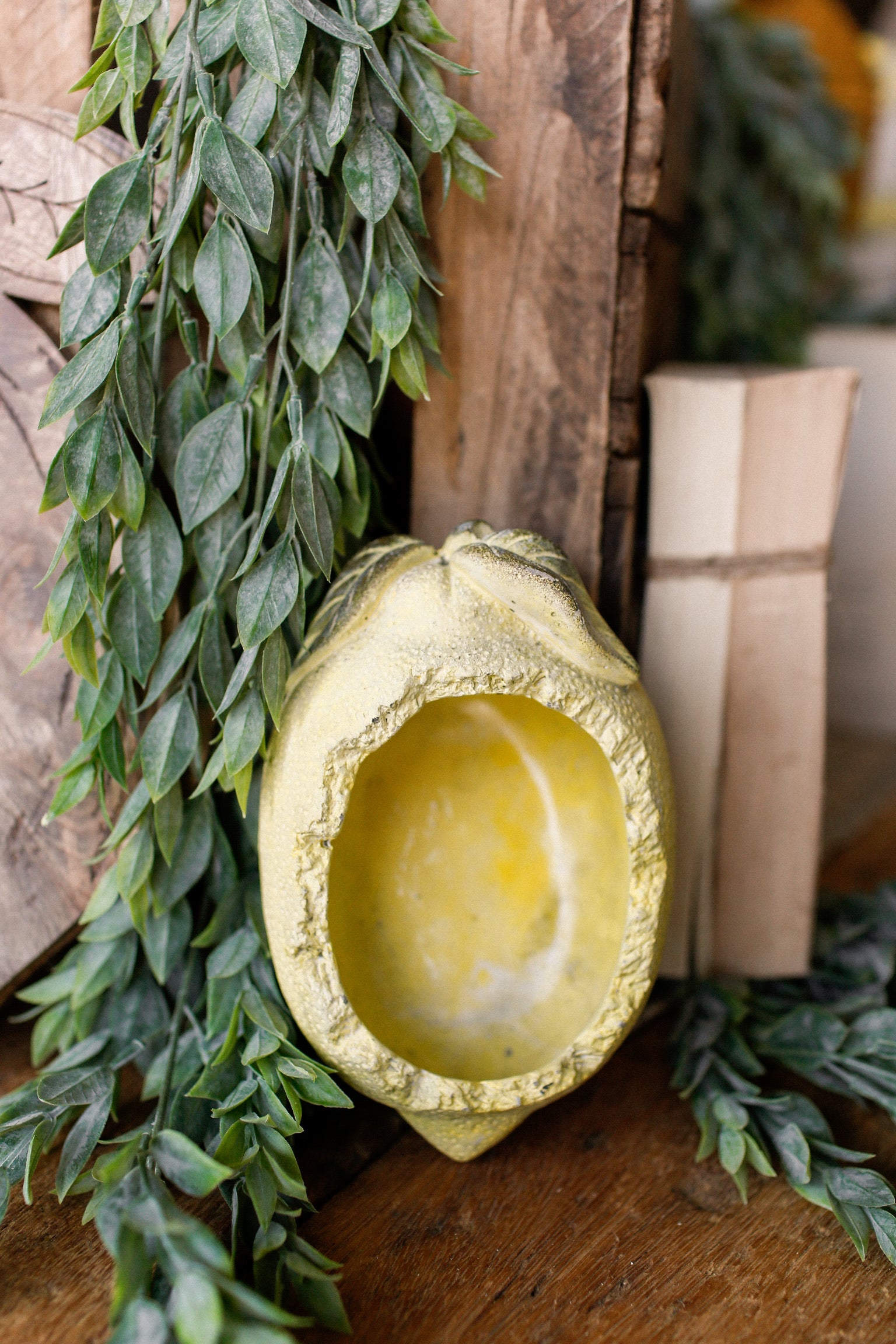 Lemon Concrete Planter