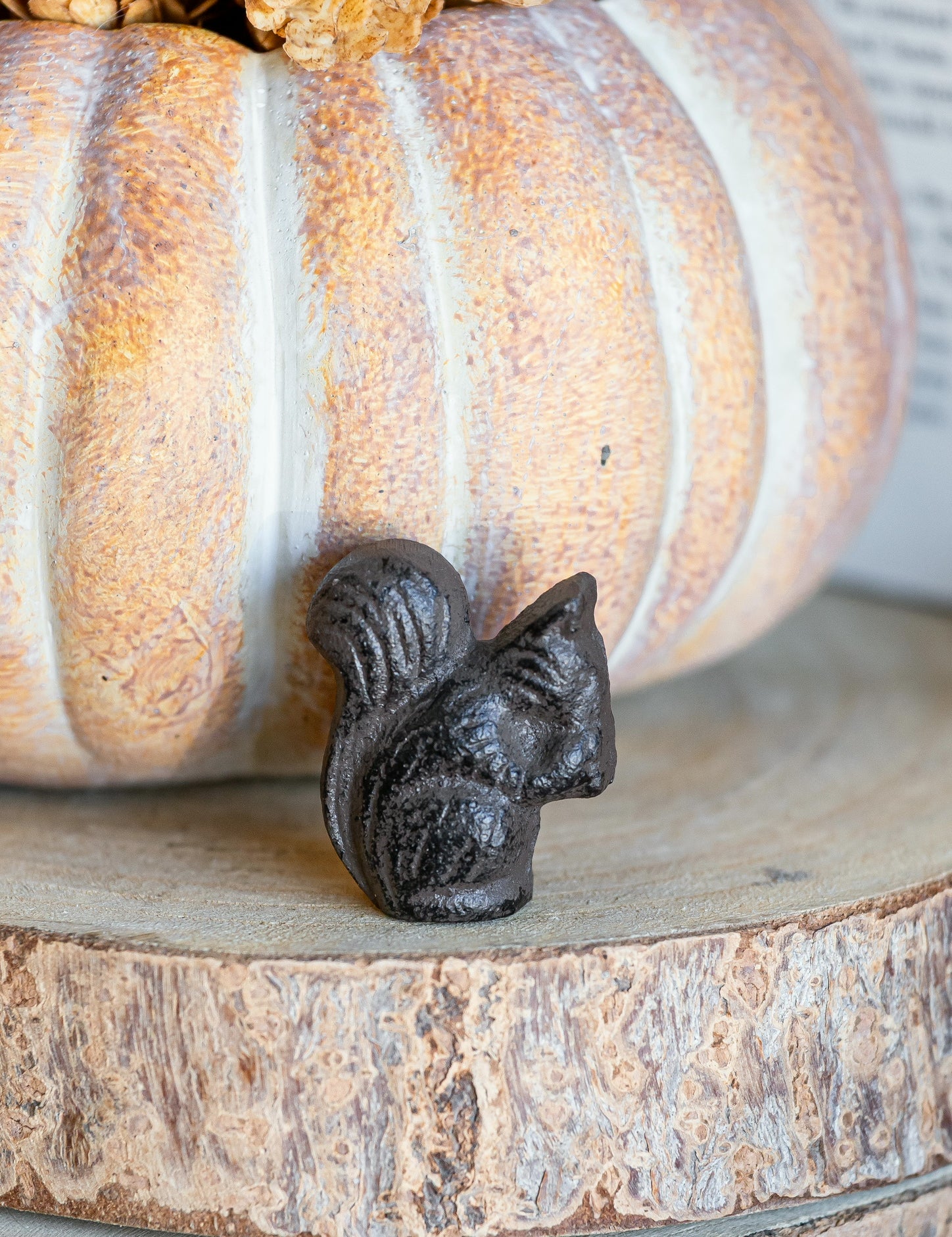 Cast Iron Squirrel The Little Burlap Barn