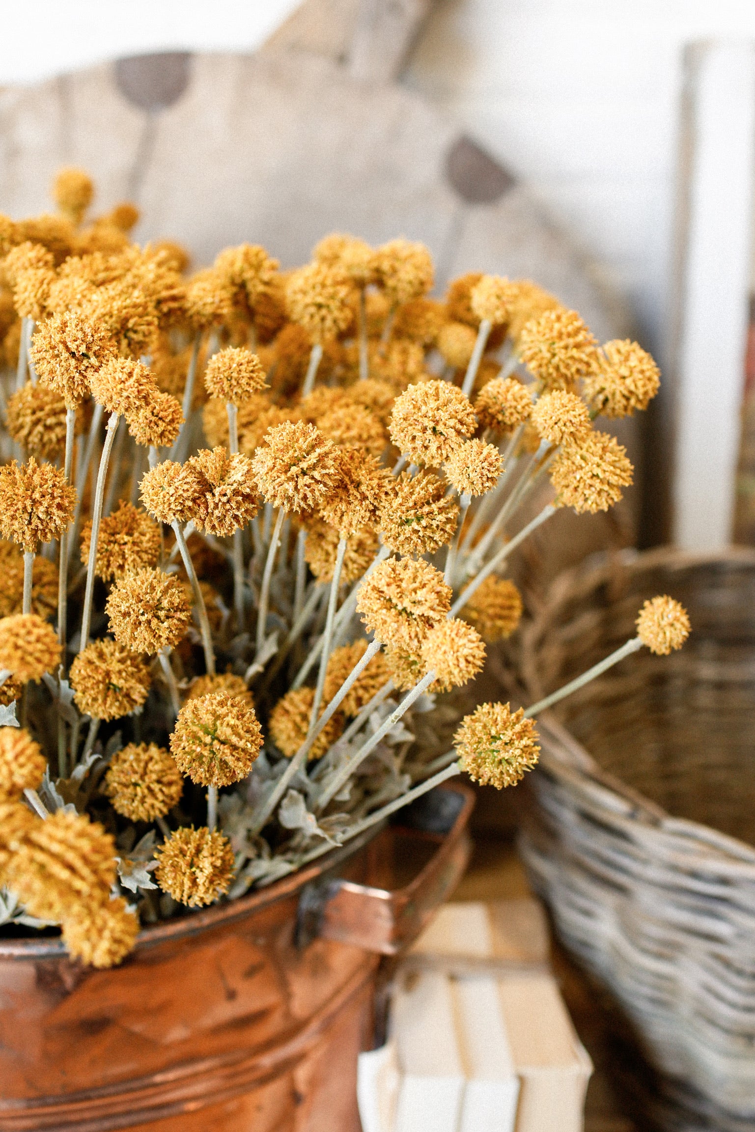 Whimsy Wildflower Bush (Mustard)