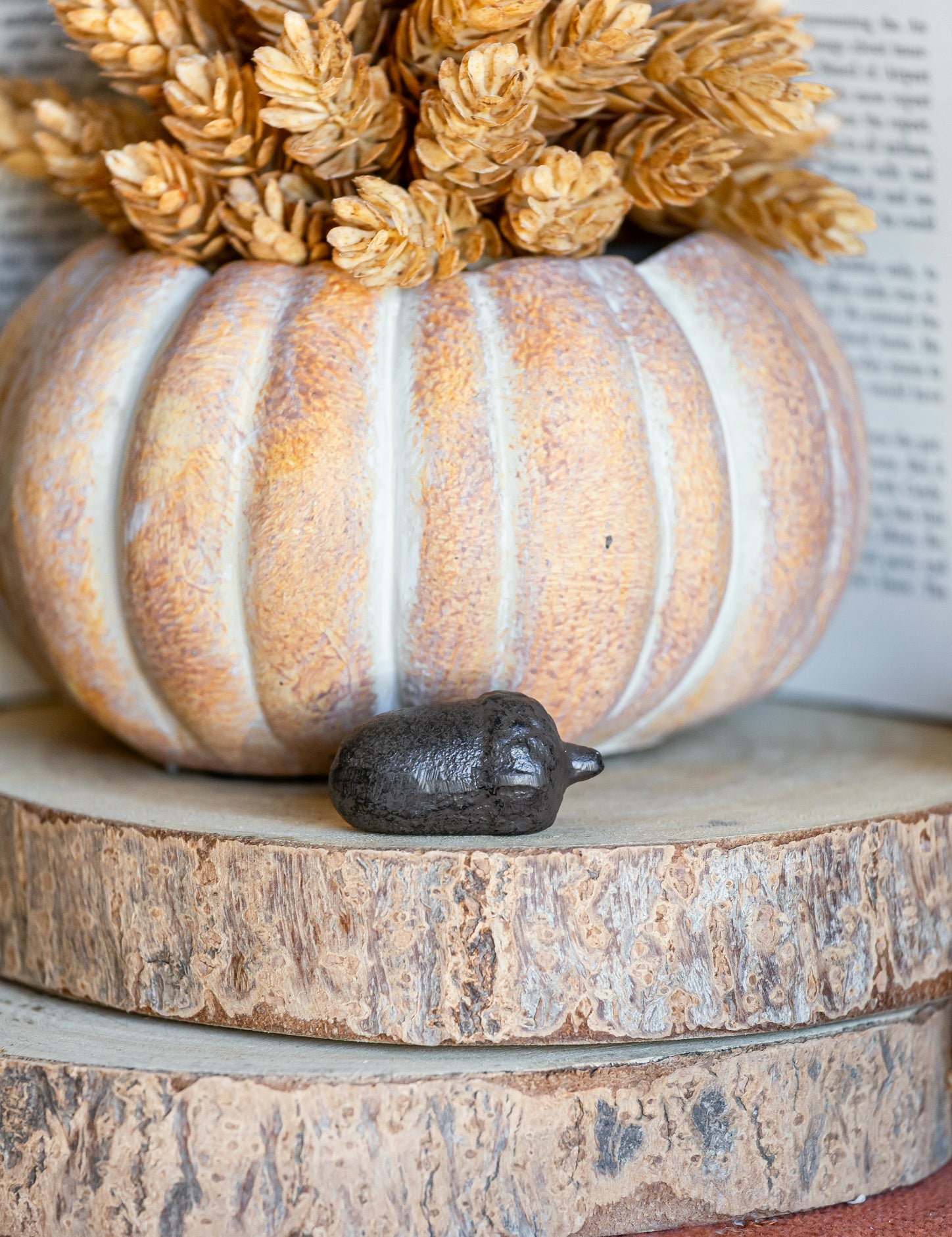 Cast Iron Acorn The Little Burlap Barn