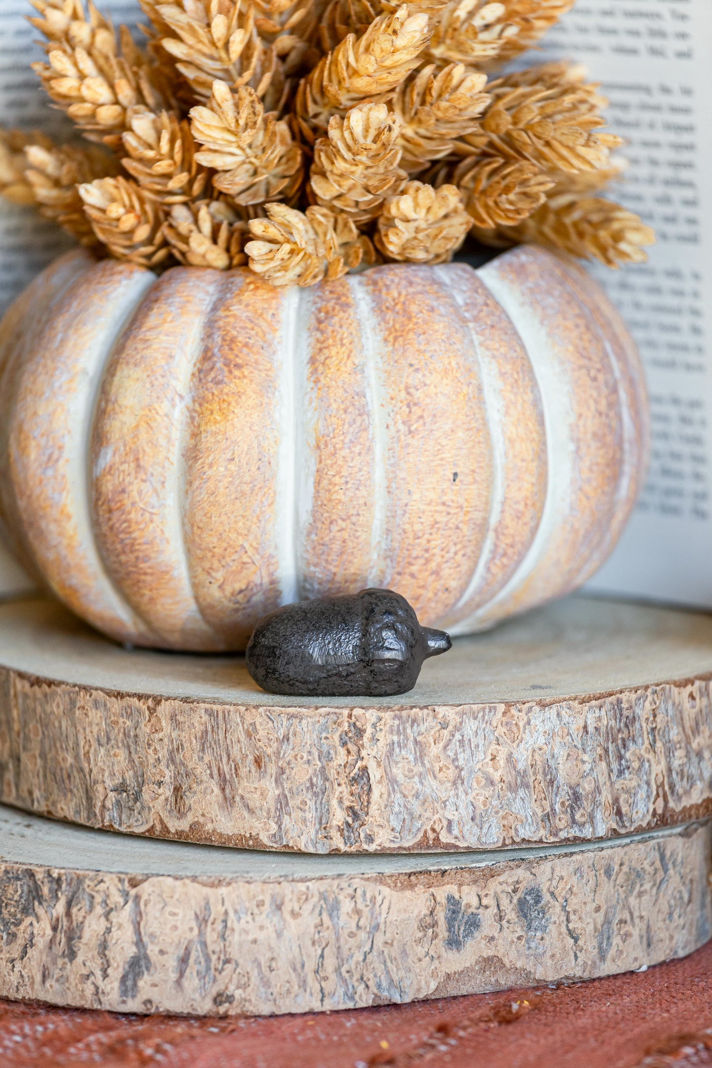 Cast Iron Acorn The Little Burlap Barn