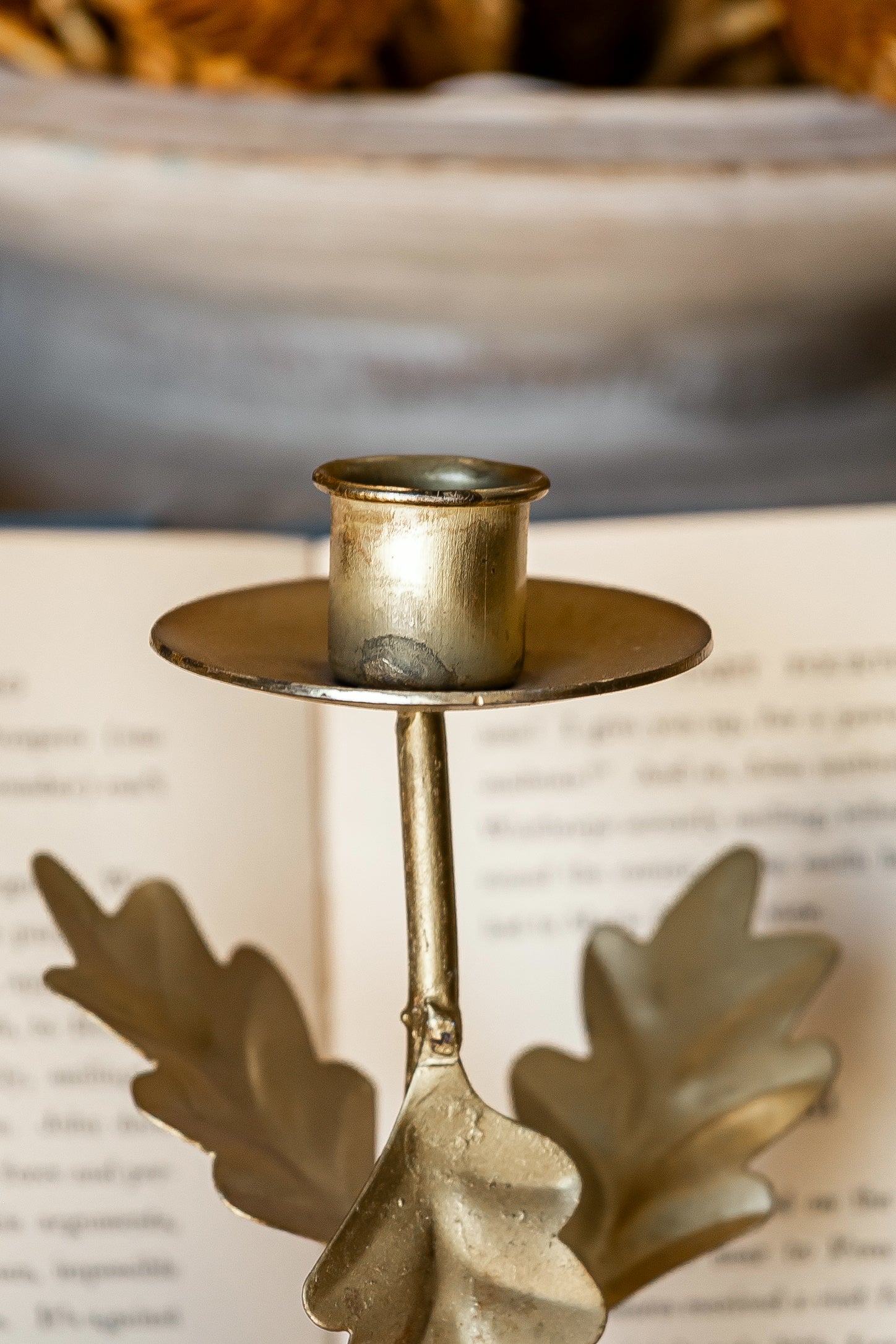 Antique Gold Leaf and Acorns Taper Candle Holder Creative Co-Op