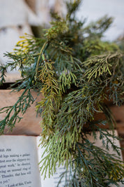 Mixed Cedar Hanging Stem