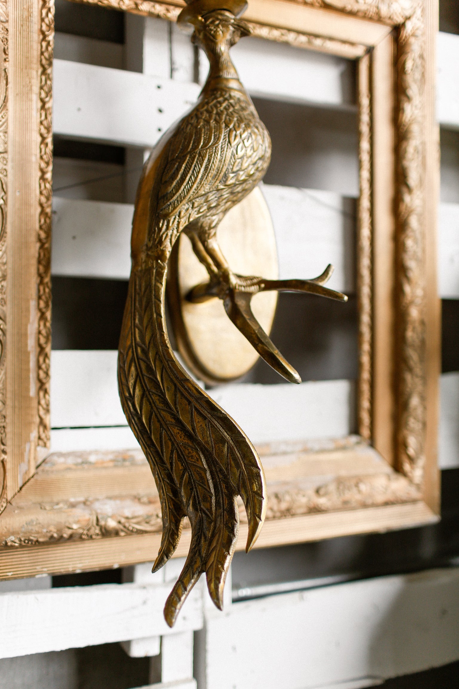 Pheasant Wall Mount The Little Burlap Barn®