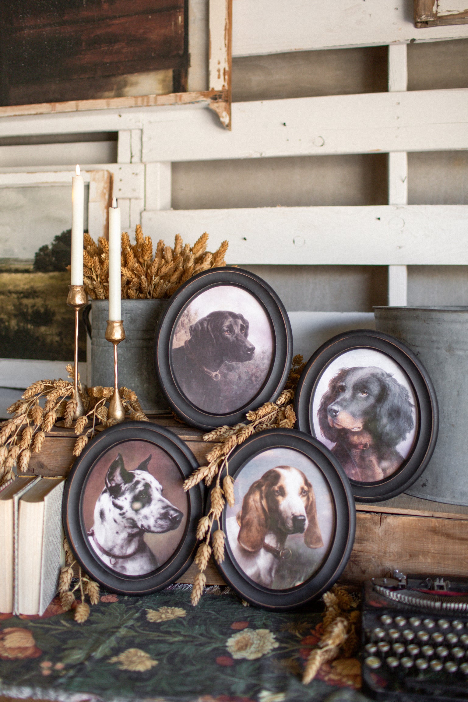 Hunting Dog Framed Print
