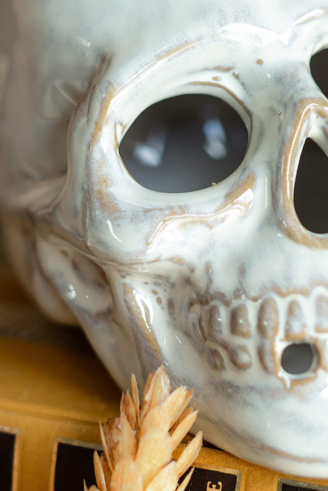 Ceramic Glazed Skull The Little Burlap Barn®