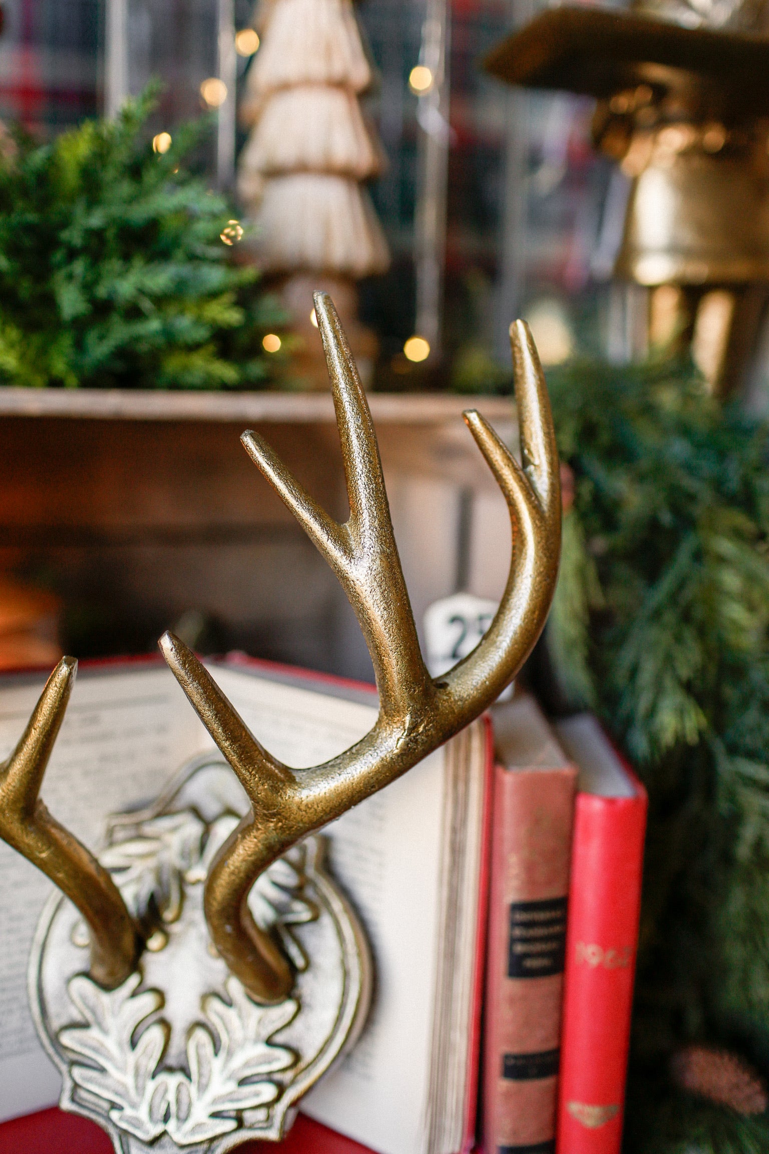 Oakdale Antler Mount (S)