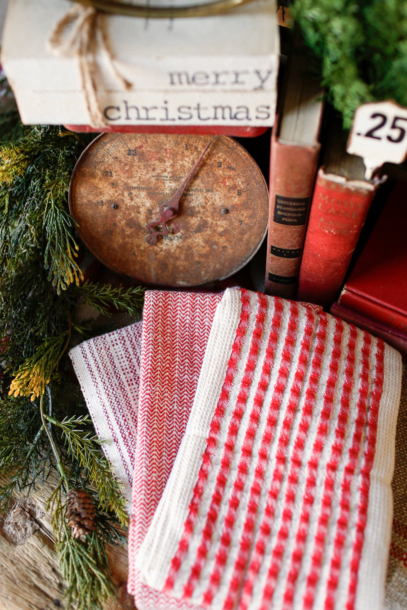 Christmas Cottage Kitchen Towel Set