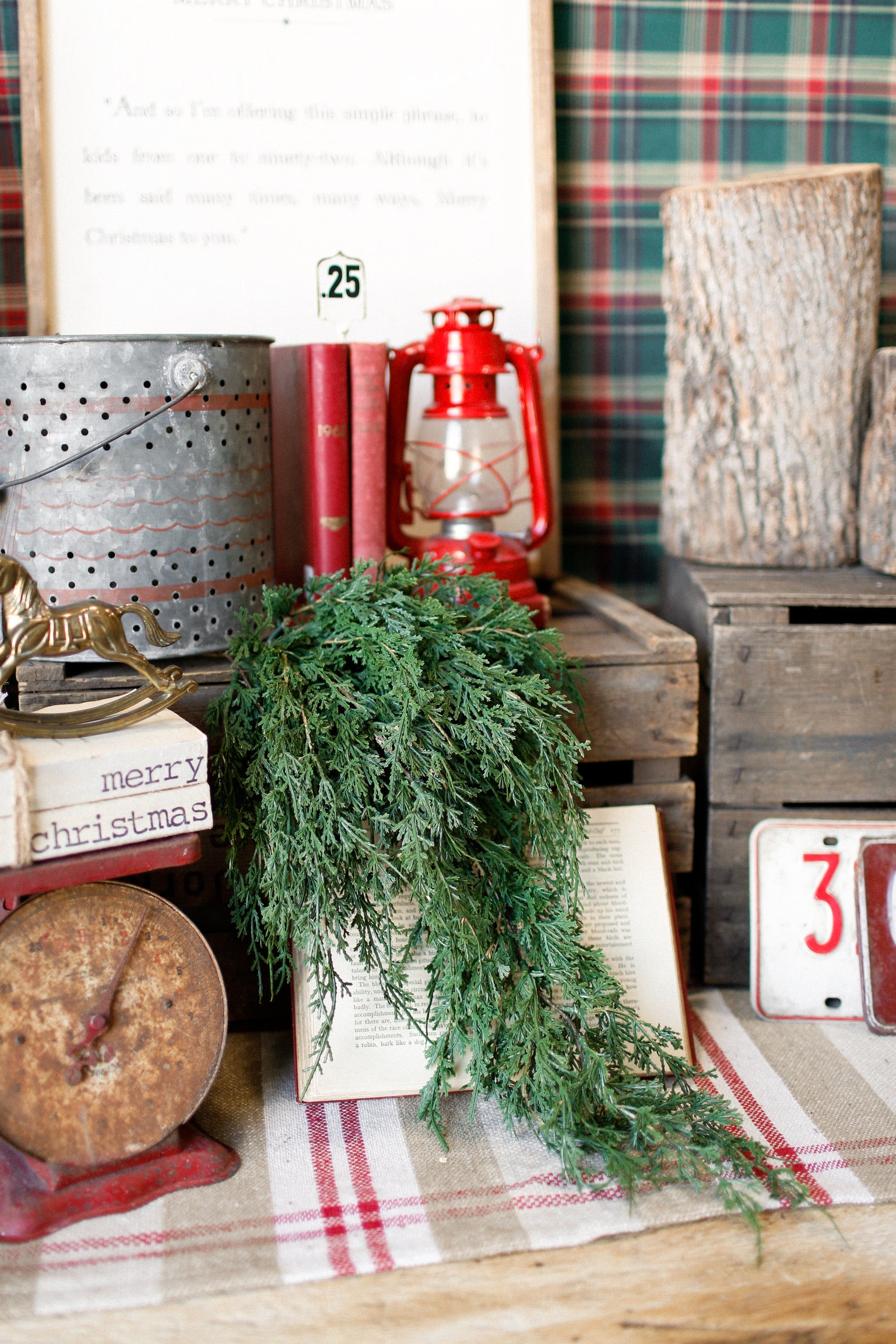 Forest Falls Hanging Stem