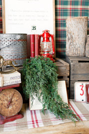 Forest Falls Hanging Stem