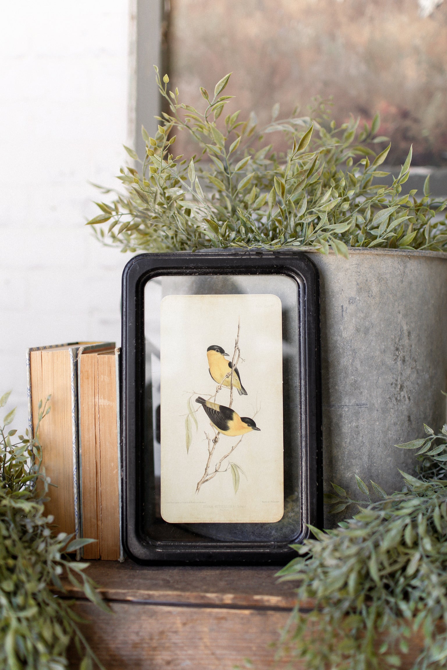 Bird Framed Picture The Little Burlap Barn®